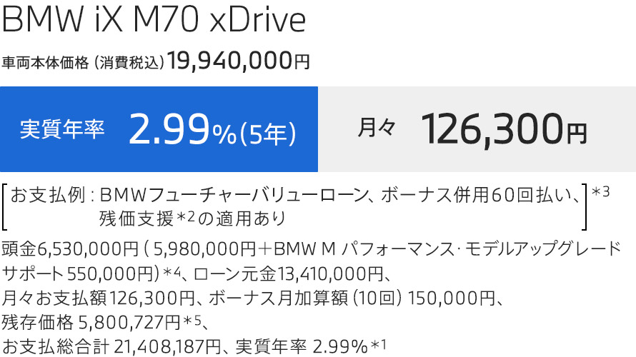 iX 支払例