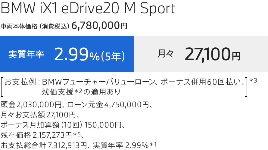 iX1 支払例